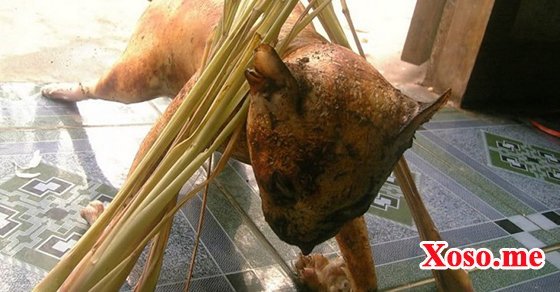 Mơ thấy ăn thịt mèo