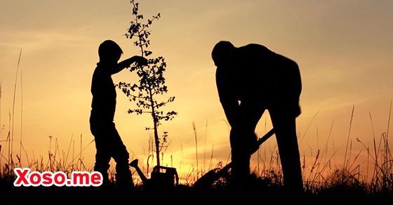 Mơ thấy bố chết nhưng bố không chết