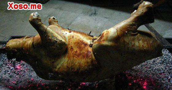 Mơ thấy dùng lửa đốt súc vật