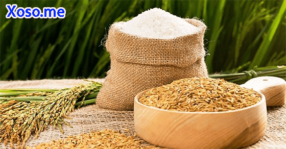 Mơ thấy thóc