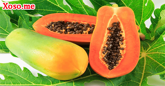 Mơ thấy quả đu đủ Mơ thấy quả đu đủ