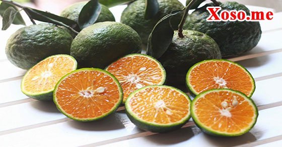 Mơ thấy quả cam mang ý nghĩa thịnh vượng